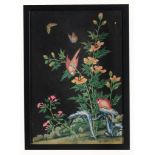 Chinese School (early 20th century) - A group of eight still lifes with birds and flowers