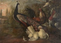 Follower of Melchior de Hondecoeter (1636-1695) - A peacock, hens, turkey, and a cockerel, before an