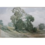 W. H. Allcott (?) (20th Century) Sheep grazing in a field Watercolour Signed lower left 28cm x 38cm