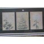 Oriental School (20th Century) Flowers Watercolour 31cm x 21cm, each panel