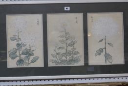 Oriental School (20th Century) Flowers Watercolour 31cm x 21cm, each panel