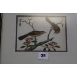 A Chinese painting on rice paper of two birds amongst blossom, 11cm x 15.5cm Best Bid