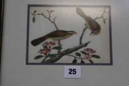 A Chinese painting on rice paper of two birds amongst blossom, 11cm x 15.5cm Best Bid