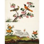 A Set of Six Chinese Export Gouache Paintings of Birds China circa 1850, of birds, painted on