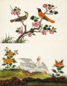 A Set of Six Chinese Export Gouache Paintings of Birds China circa 1850, of birds, painted on