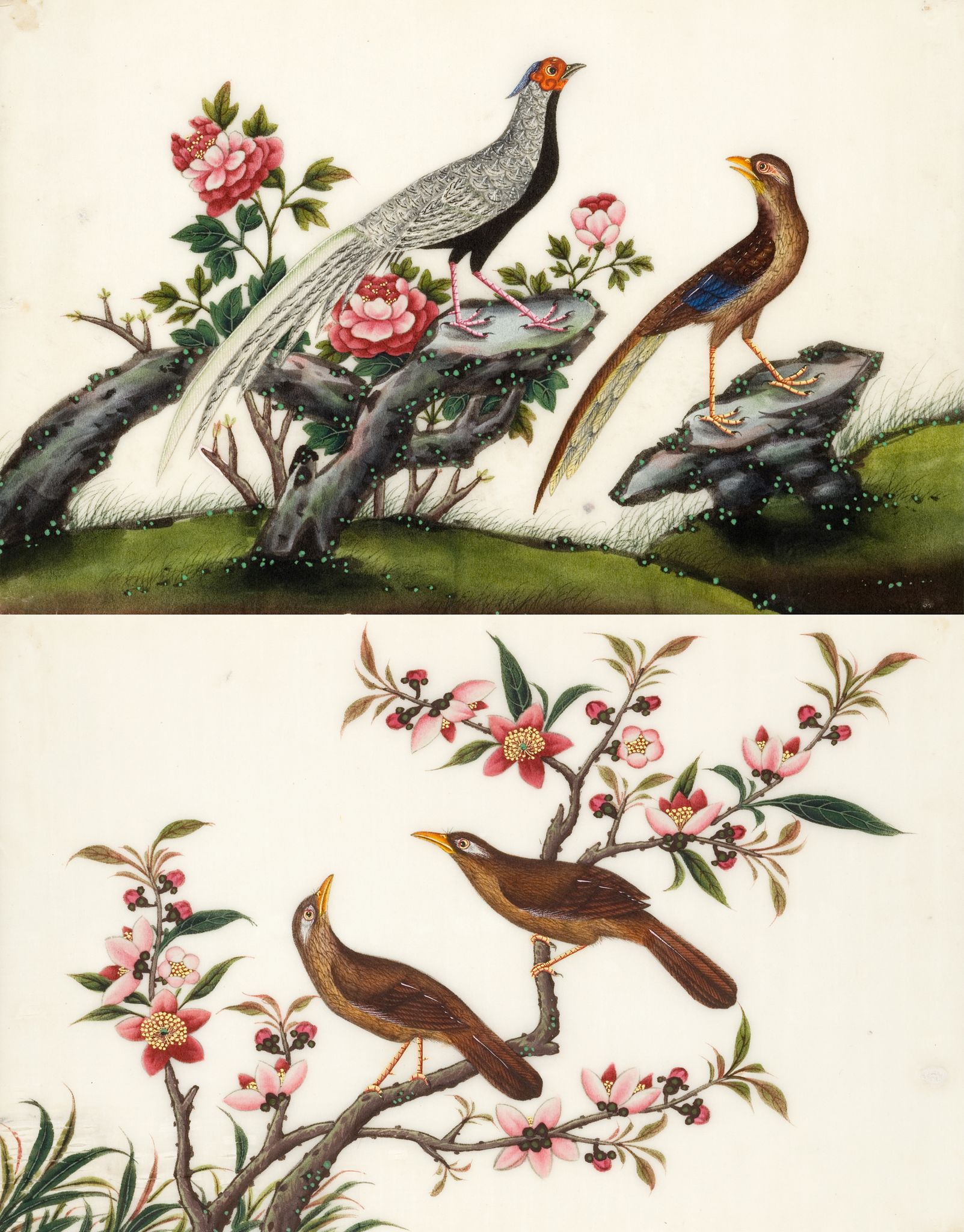 A Set of Six Chinese Export Gouache Paintings of Birds China circa 1850, of birds, painted on - Image 4 of 4