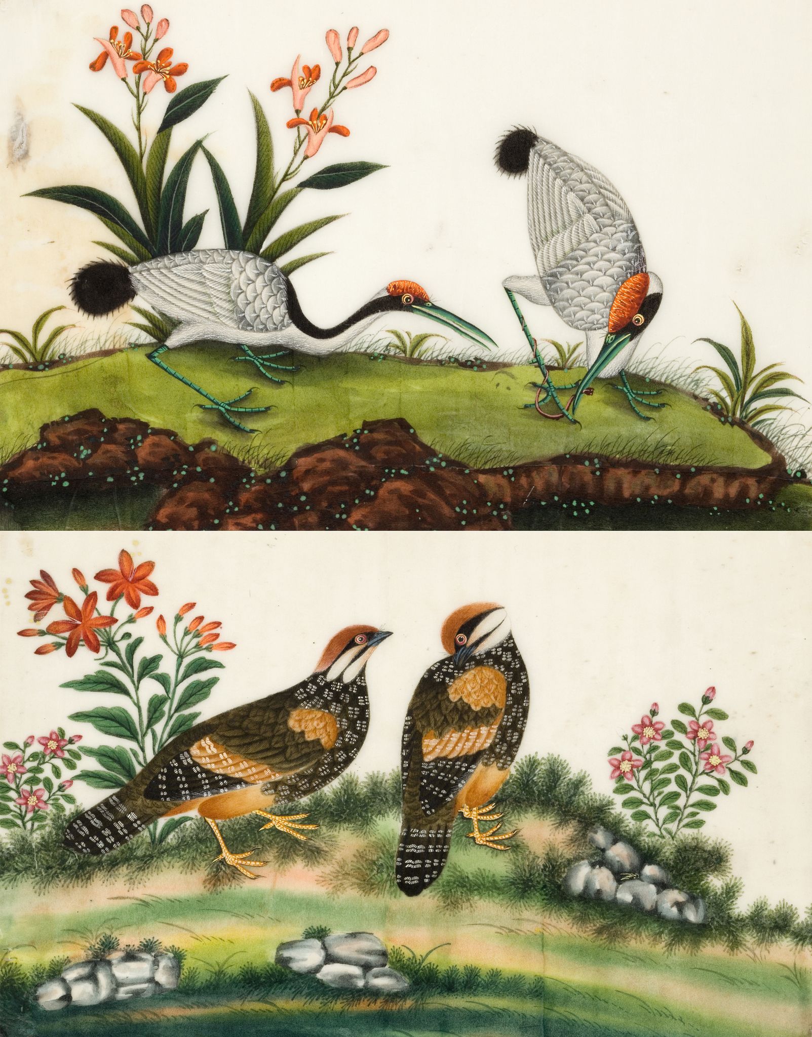 A Set of Six Chinese Export Gouache Paintings of Birds China circa 1850, of birds, painted on - Image 2 of 4