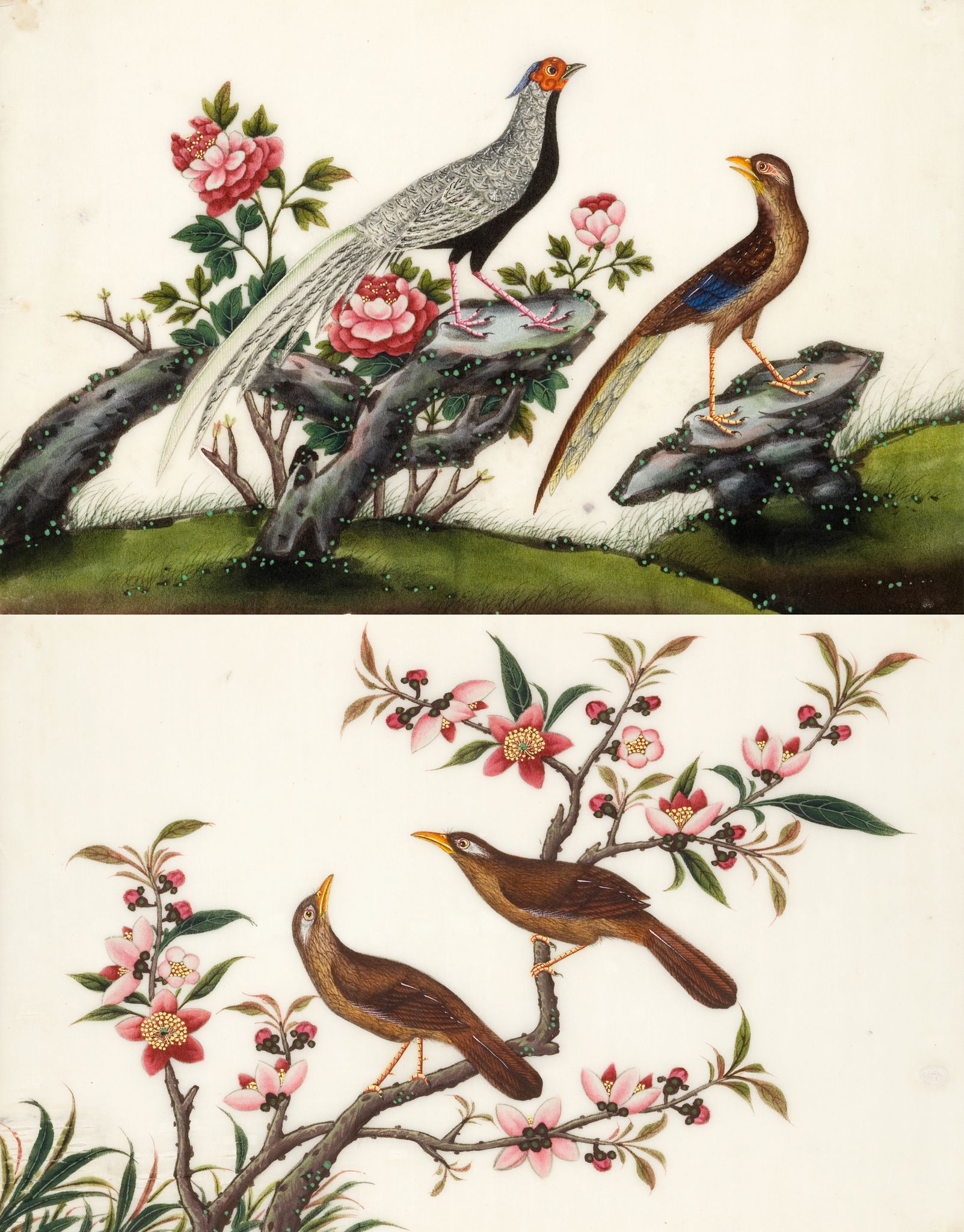 A Set of Six Chinese Export Gouache Paintings of Birds China circa 1850, of birds, painted on - Image 3 of 4