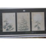 Oriental School (20th Century) Flowers Watercolour 31cm x 21cm, each panel Best Bid
