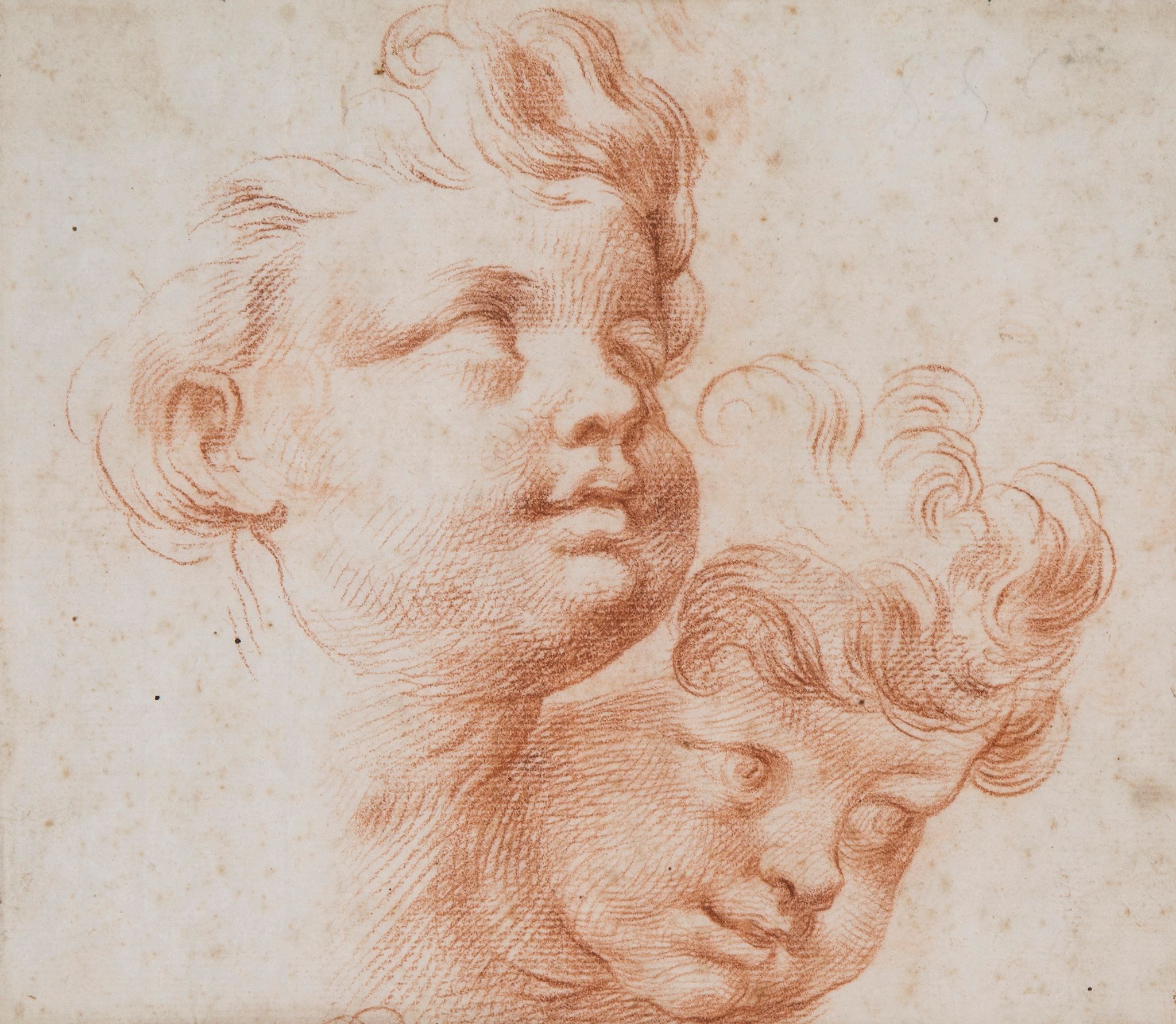 Italian School (18th Century) - Head studies of two young boys Red chalk on laid paper 18.5 x 21 cm.