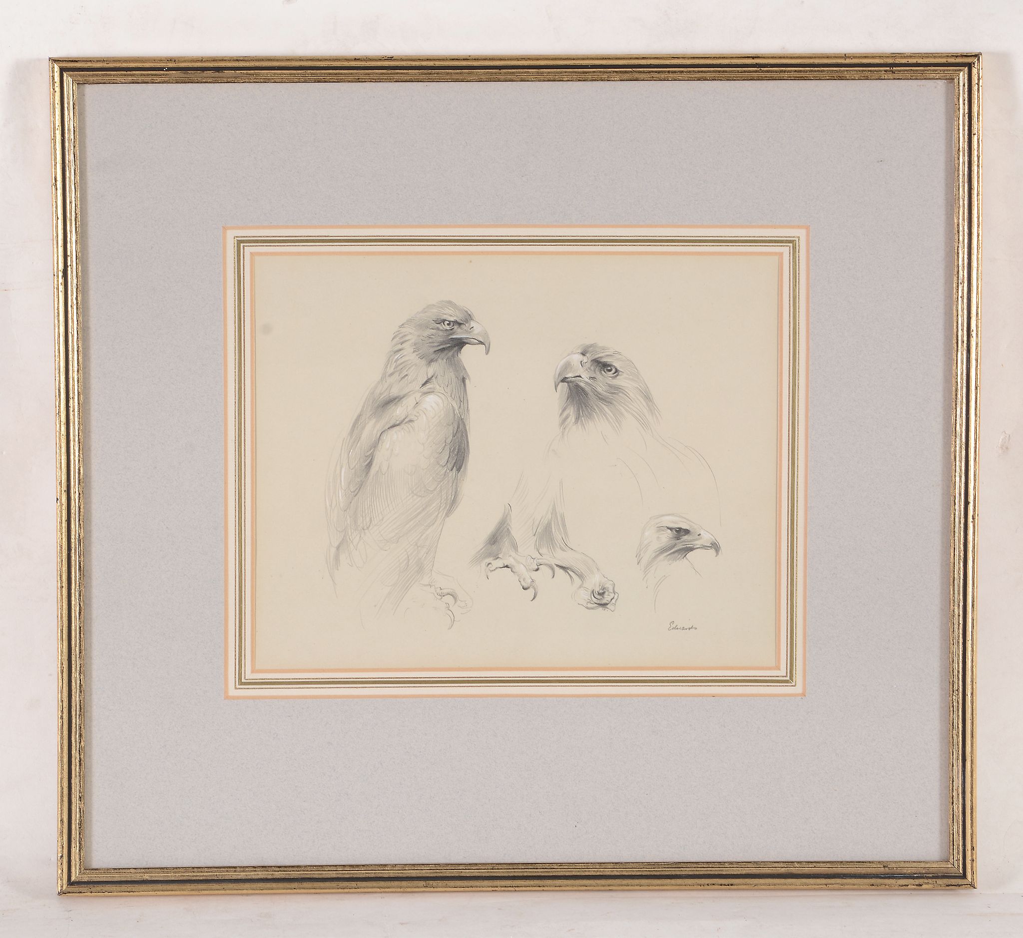 John C. Edwards (20th Century) - Study of an eagle Graphite, hightened with white, on light grey - Image 8 of 9