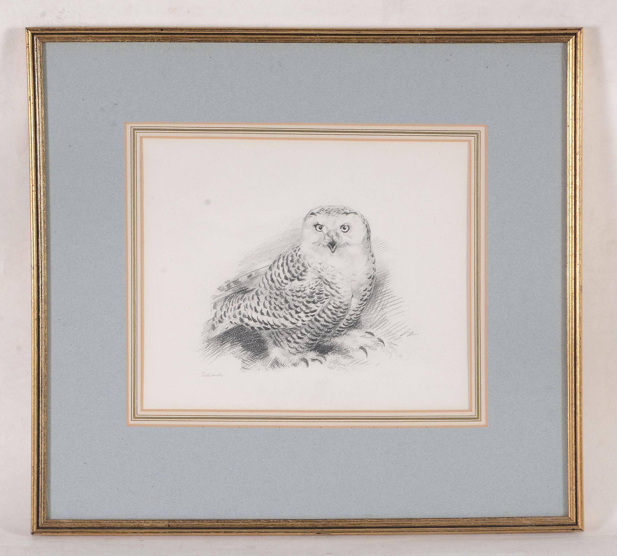 John C. Edwards (20th Century) - Study of an eagle Graphite, hightened with white, on light grey - Image 6 of 9