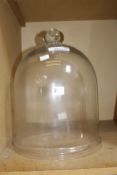 Glass lantern or garden cloche. 40cm.  Best Bid