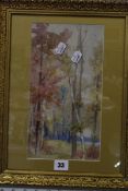 Irish school (Late 19th/ early 20th Century) Autumn woodland Watercolour Signed Mary Barton lower