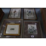 British School (early 20th Century) Botanical studies Watercolours Unsigned Various sizes (3); And