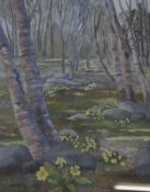 Barbara Ashton (20th Century) The Primrose wood Watercolour Signed lower right 35.5cm x 26cm Best
