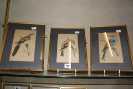 After Fawcett a set of six bird coloured engravings 'Mountain Finch', 'Passenger Pigeon', '