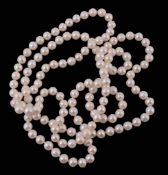 A single strand cultured pearl necklace, composed of 7mm cultured pearls  A single strand cultured