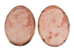 A shell cameo brooch, the oval shell cameo carved with a lady's profile  A shell cameo brooch,   the