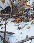 Paul Dawson (20th Century) - Thrush in winter landscape,  watercolour and bodycolour, over pencil,