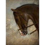 Attributed to Stephen Pearce (1819-1904) - Study of a horse's head Oil on canvas Inscribed title,