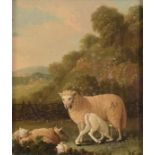 Follower of Thomas Sidney Cooper  Herd of sheep resting  Oil on board  Unsigned  17.5cm x 15cm