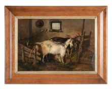 English School (19th Century) - Farmyard goats feeding in their pen Oil on board 28.5 x 41 cm. (11
