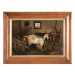 English School (19th Century) - Farmyard goats feeding in their pen Oil on board 28.5 x 41 cm. (11