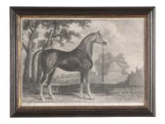 After George Stubbs (1724-1806) - An Arabian belonging to Lord Grosvenor Mezzotint, on laid paper