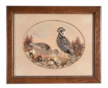 A framed and glazed feather collage and watercolour of a Black Partridge...  A framed and glazed