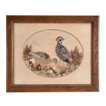 A framed and glazed feather collage and watercolour of a Black Partridge...  A framed and glazed