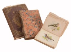 Three various volumes of Natural History ; H  Three various volumes of Natural History  ;  H. Noel