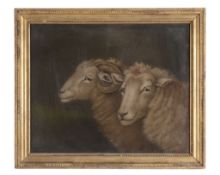 Benjamin Zobel (1762-1831) - Double portrait of a ram and a sheep Sand and pigment on paper 43 x