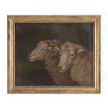 Benjamin Zobel (1762-1831) - Double portrait of a ram and a sheep Sand and pigment on paper 43 x