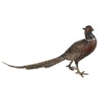 A Viennese cold painted bronze model of a cock pheasant, early 20th century  A Viennese cold painted