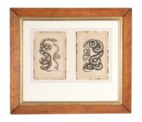 Thomas Lejeune (fl.1828-1836) - A group of four plates of snakes Lithographs, with hand colouring