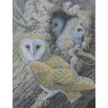 John Tennent (b.1926) A barn owl and young Watercolour Signed lower left 41.5cm x 30.5cm Provenance: