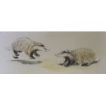 A quantity of pictures and prints to include a watercolour of badgers, botanical watercolours etc