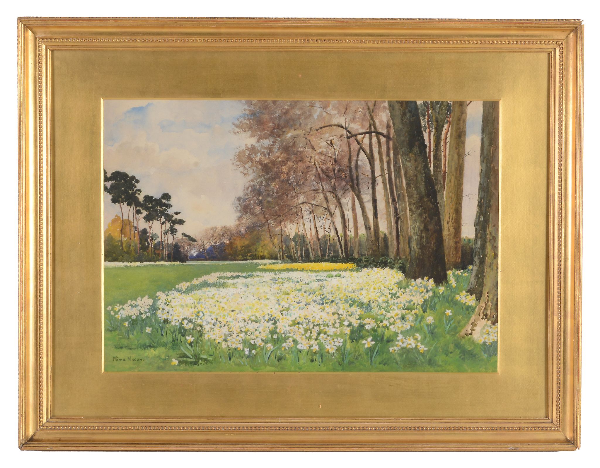 Mima Nixon (1861-1939) - Daffodils on Wimbledon Common Watercolour and bodycolour, over graphite - Image 3 of 3