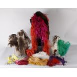 A large collection of late 19th and early 20th century feathers, suitable for millinery use and