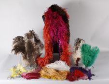 A large collection of late 19th and early 20th century feathers, suitable for millinery use and