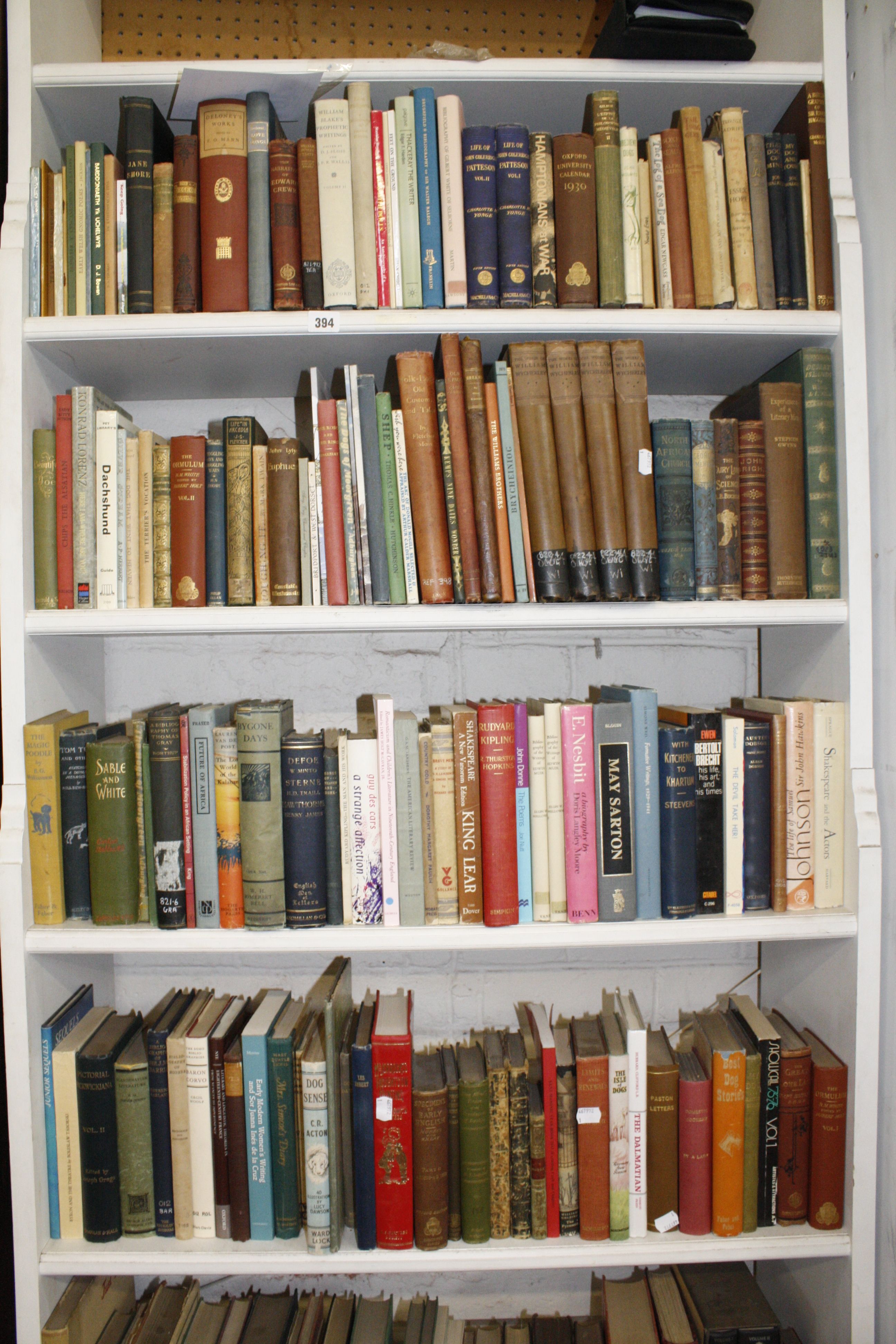 Books.A quantity of early 20th century childrens books on "Dog Tales" and a quantity of novels