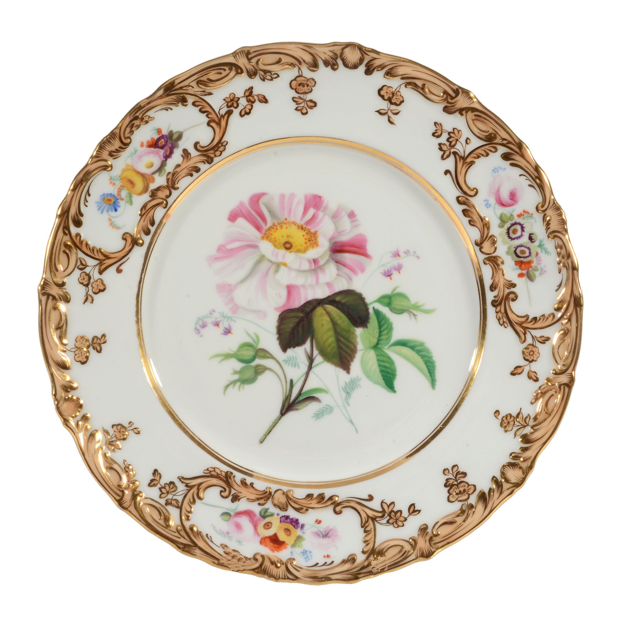 A pair of Coalport porcelain botanical plates, mid 19th century  A pair of Coalport porcelain - Image 3 of 3