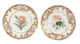 A pair of Coalport porcelain botanical plates, mid 19th century  A pair of Coalport porcelain