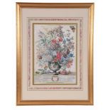 A set of twelve framed botanical prints , vases of flowers representing...  A set of twelve framed