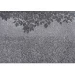 Edward Middleditch (1923-1987) - Garden Night; Plum Tree and Bean Field Charcoal on paper  Circa