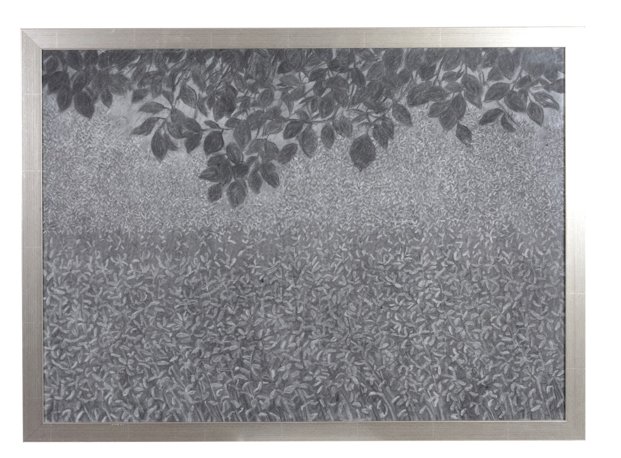 Edward Middleditch (1923-1987) - Garden Night; Plum Tree and Bean Field Charcoal on paper  Circa - Image 3 of 6