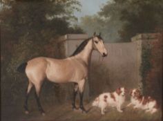 Follower of Thomas Walker Bretland (1802-1874) - A grey horse and two English springer spaniels
