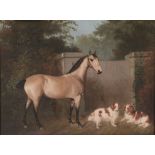 Follower of Thomas Walker Bretland (1802-1874) - A grey horse and two English springer spaniels