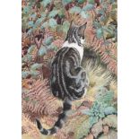 Charles Frederick Tunnicliffe (1901-1978) - Cat amongst ferns Watercolour over graphite,